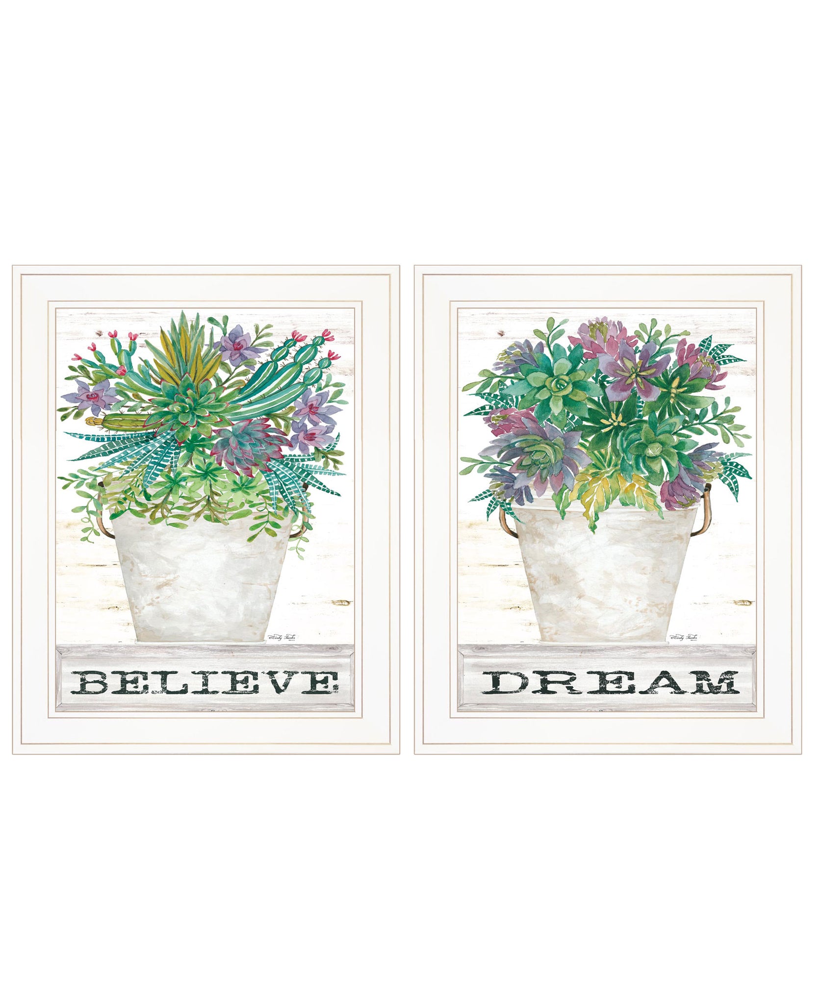 "Succulents Dream & Believe" 2 Piece Vignette By Cindy Jacobs, Ready To Hang Framed Print, White Frame Multicolor Paper