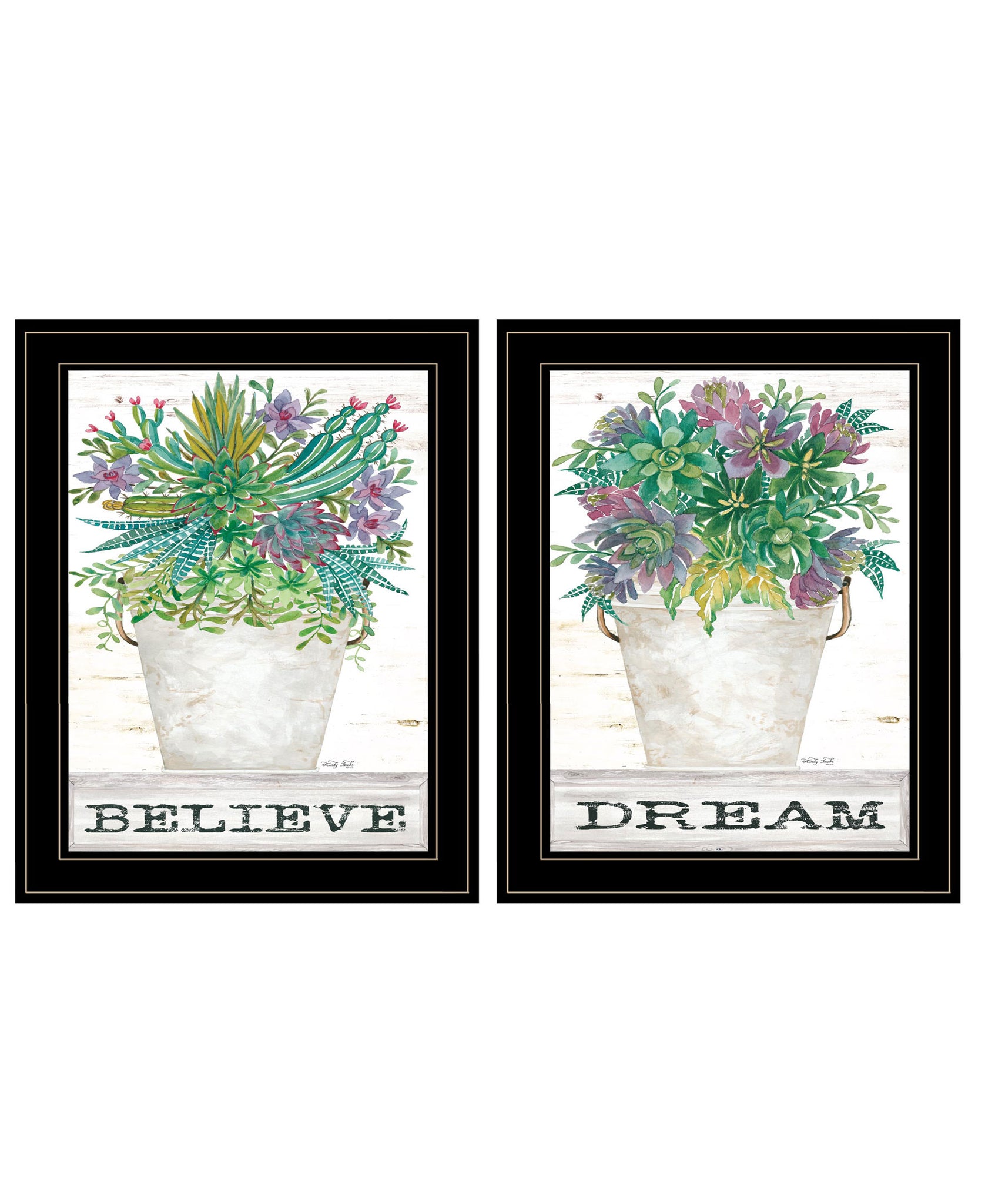 "Succulents Dream & Believe" 2 Piece Vignette By Cindy Jacobs, Ready To Hang Framed Print, Black Frame Multicolor Paper