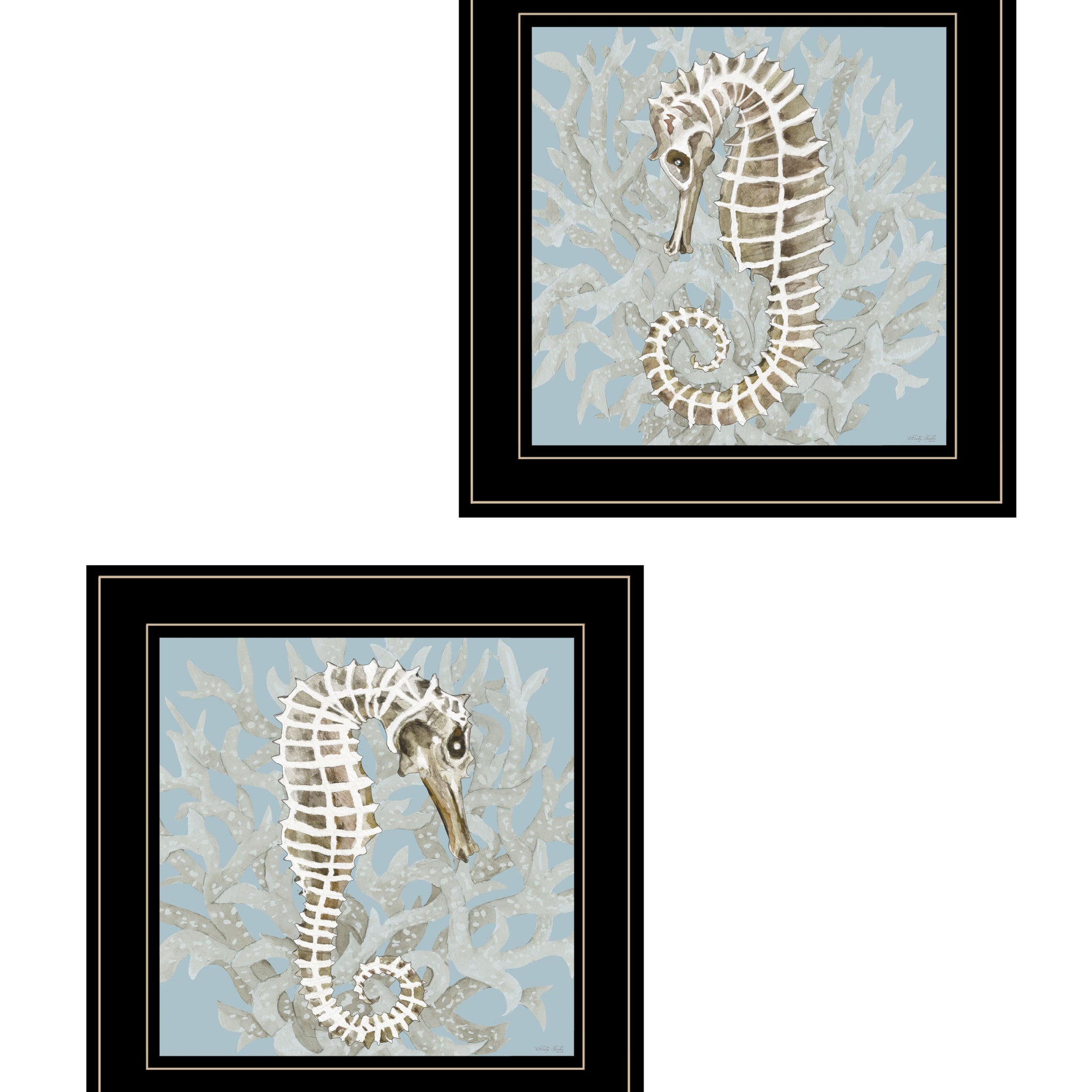 "Coral Seahorse Collection" 2 Piece Vignette By Cindy Jacobs, Ready To Hang Framed Print, Black Frame Multicolor Paper