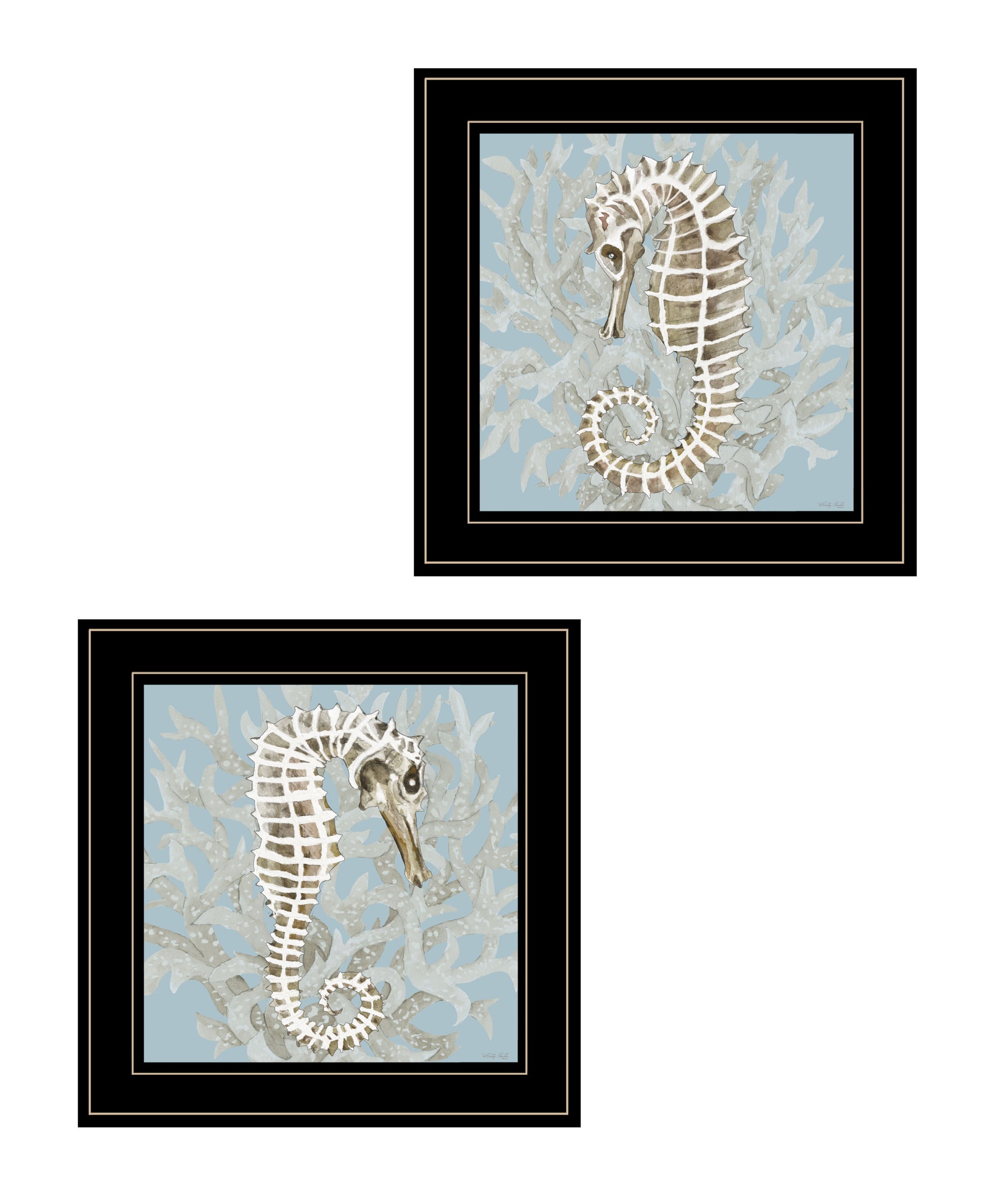 "Coral Seahorse Collection" 2 Piece Vignette By Cindy Jacobs, Ready To Hang Framed Print, Black Frame Multicolor Paper