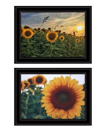 "Midwest Living Collection" 2 Piece Vignette By Donnie Quillen, Ready To Hang Framed Print, Black Frame Multicolor Paper