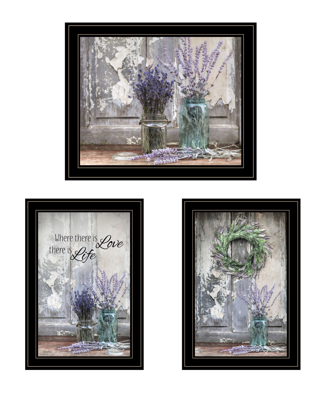 "Abundance Of Beauty Collection" 3 Piece Vignette By Lori Deiter, Ready To Hang Framed Print, Black Frame Multicolor Paper