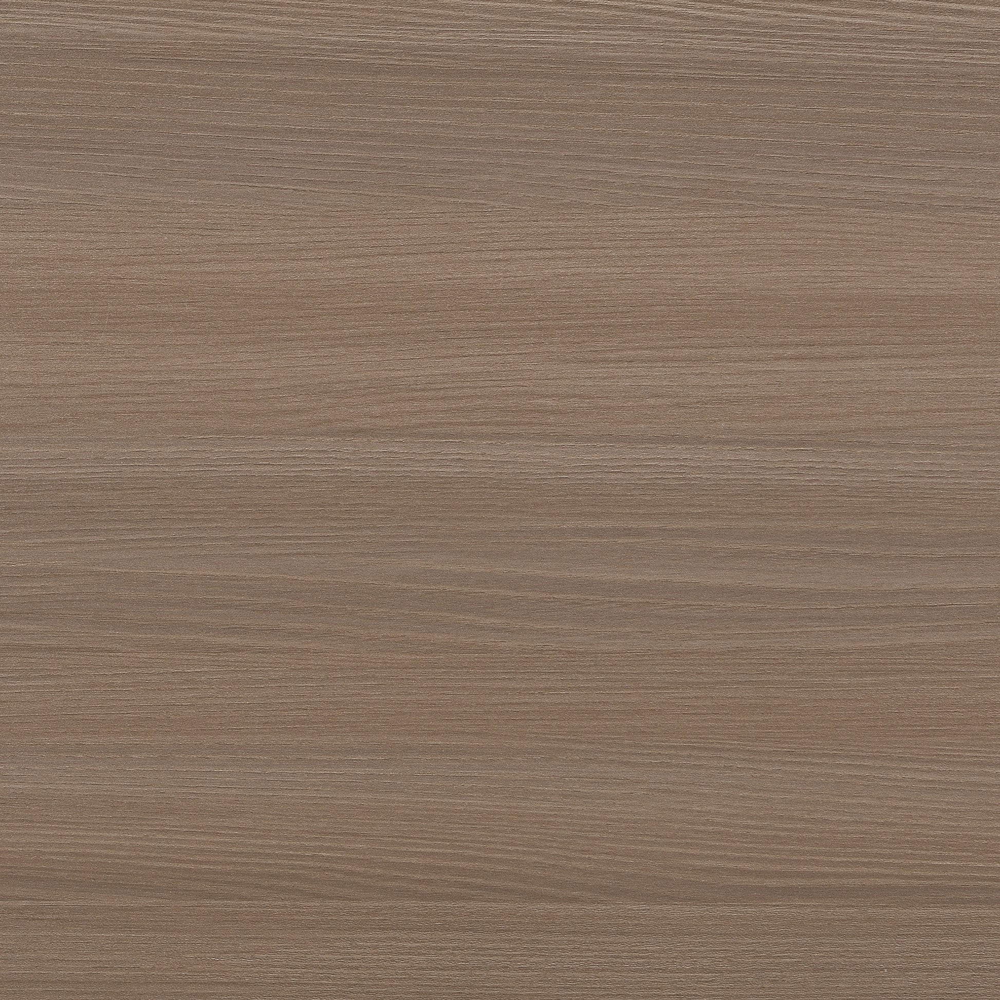 49" Shoe Storage Bench Entryway Shoe Cabinet Storage Ottoman With Padded Seat Cushion And Double Doors For Entryway, Hallway And Bedroom, Light Grey Cushioned Light Grey Chenille Solid Shoe Storage