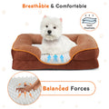 Memory Foam Pet Bed For Small Dogs & Cats With Washable Removable Cover Non Slip Base Waterproof Liner Egg Crate Foam For Improved Sleep, Brown,Large Brown Fabric