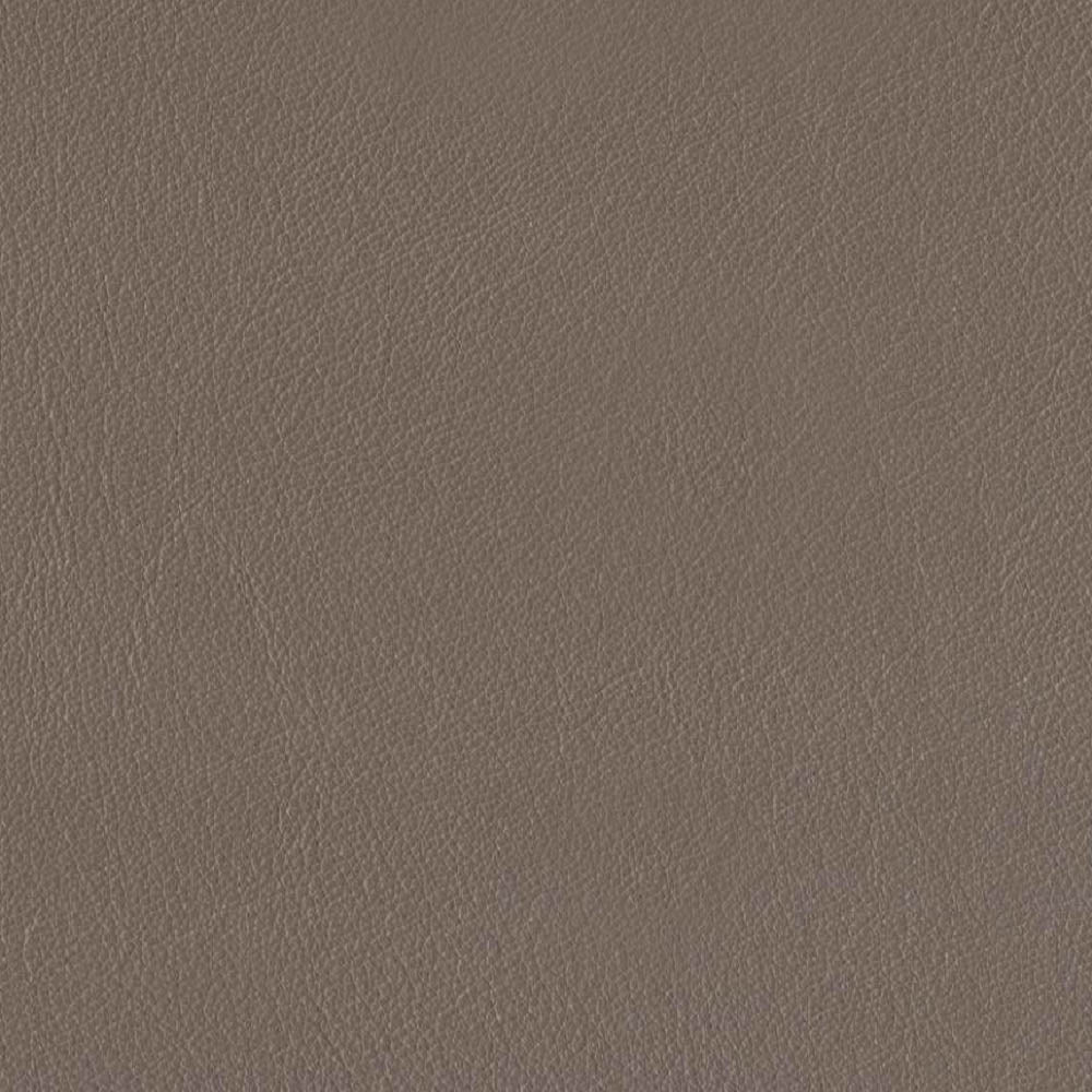 Bella Top Grain Leather Loveseat Taupe Brown Genuine Leather Wood Primary Living Space Medium Firm Cushion Back Mid Century Modern Eucalyptus Square Arms Down Filling Leather