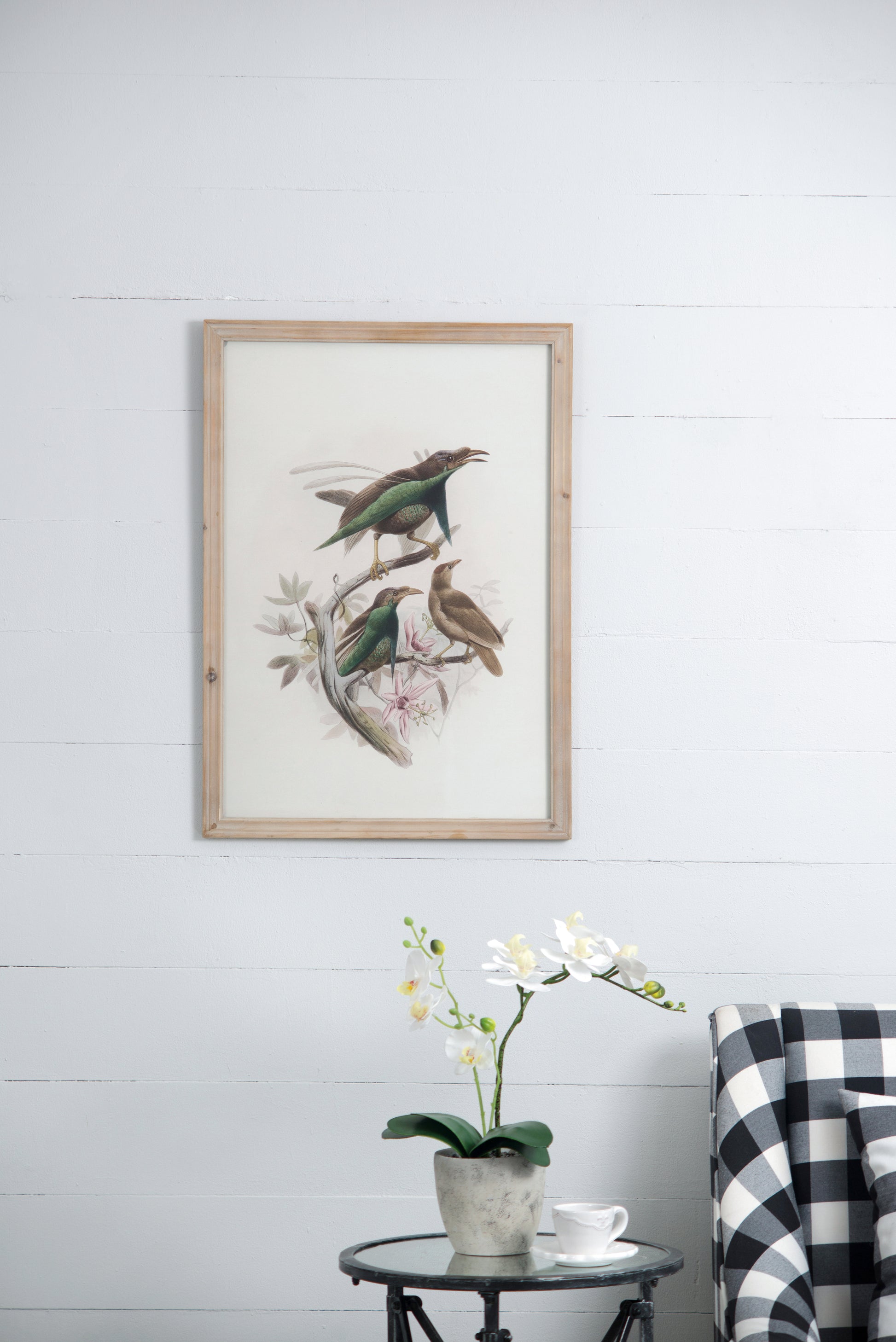 S 2 Bird Framed Print, 19.5X27.5" Multicolor Wood