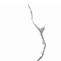 Shimmering Aluminum Branch Decor Accent, Silver Silver Metal