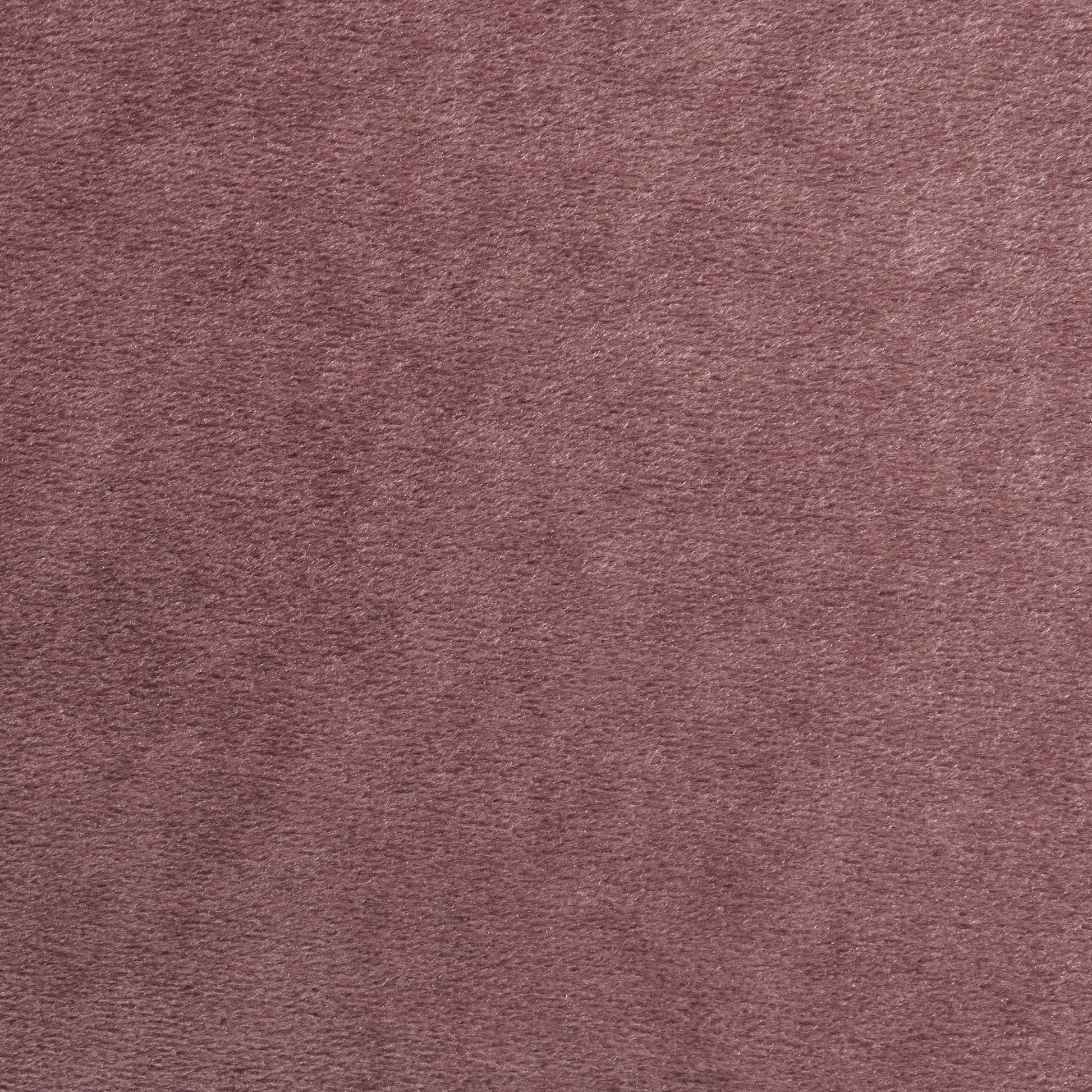 Upholstered Barrel Accent Chair With Wooden Legs Blush Rubberwood Velvet