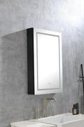 Led Lighted Bathroom Medicine Cabinet With Mirror, Surface Lighted Medicine Cabinet,Dimmable,Shelves,Intelligent Switch Medicine Cabinet, Aluminum Frame,Left Opening Door Matte Black Aluminium