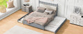 Queen Size Wooden Storage Platform Bed, With 2 Big Drawers, T Size Trundle, Gray Queen Gray Plywood