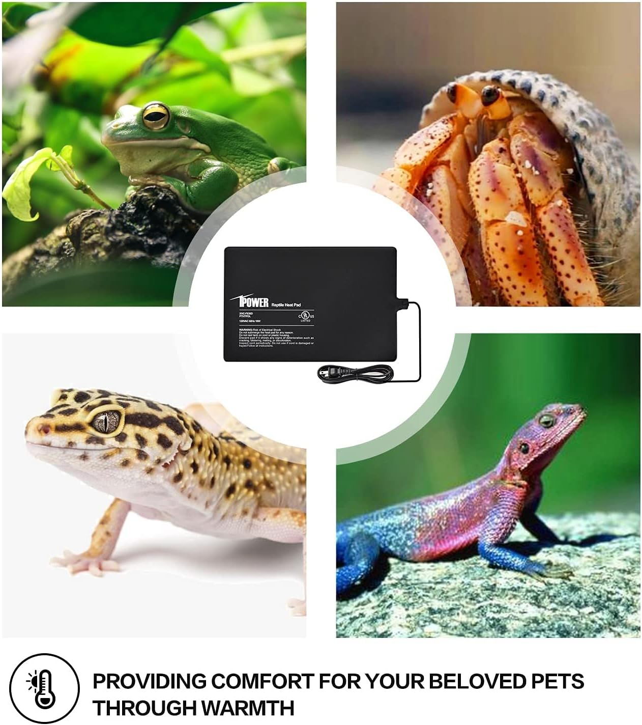 8 By 12 Inch 16W Reptile Heat Mat, Under Tank Warmer Terrarium Heat Pad For Turtles Lizards Frogs And Other Small Animals, Multi Sizes Black Pvc