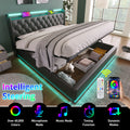 Queen Size Upholstered Bed, 360 Surround Led Function, Buttons Apps Remote Control, Hydraulic Storage Bed With Usb Type C Charging, Black,Pu Without Mattress Queen Black Pu