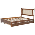 Queen Size Wooden Rattan Platform Bed, With 2 Big Drawers, T Size Trundle, Brown Queen Brown Plywood