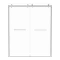 Bypass Shower Door, Sliding Door, With 5 16