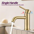 Bathroom Faucet Single Hole Modern Bathroom Sink Faucet Vanity Bathroom Faucet One Brushed Gold Deck Mounted Cartridge Valve Single Hole Faucets Bathroom Modern 1 Hole Faucets Stainless Steel