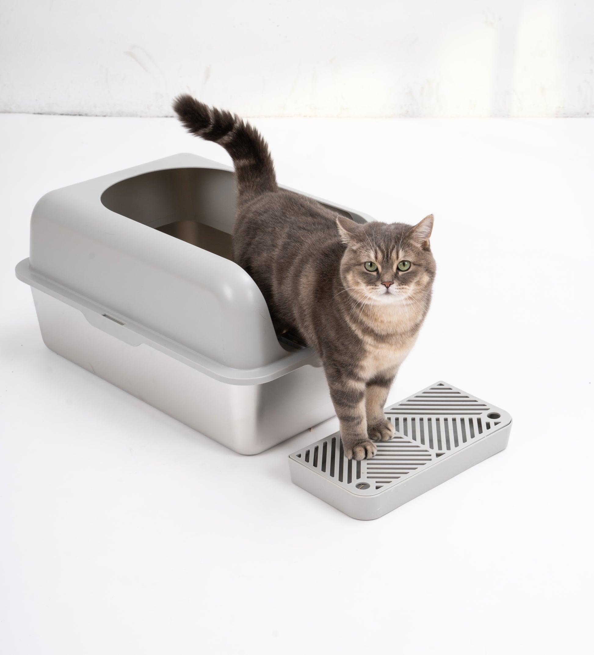 Enclosed Stainless Steel Cat Litter Box With Lid Extra Large, Litter Box For Big Cats Xl Metal Litter Pan Tray With High Wall Sides Enclosure, Non Sticky, Anti Leakage, Easy Cleaning Grey Stainless Steel