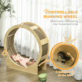 Pawhut Cat Wheel For Indoor Cats, 36