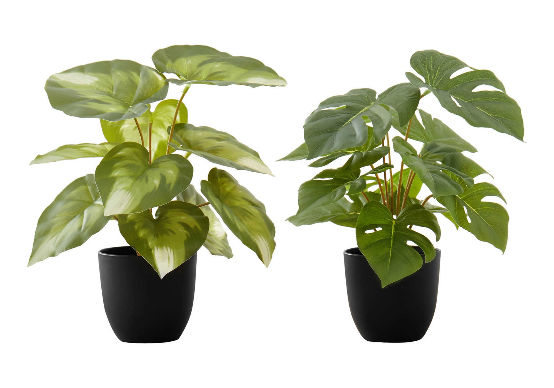 faux philodendron monstera Artificial Plant, 13" Tall, Monstera Calthea, Indoor, Faux, Fake, Tabl