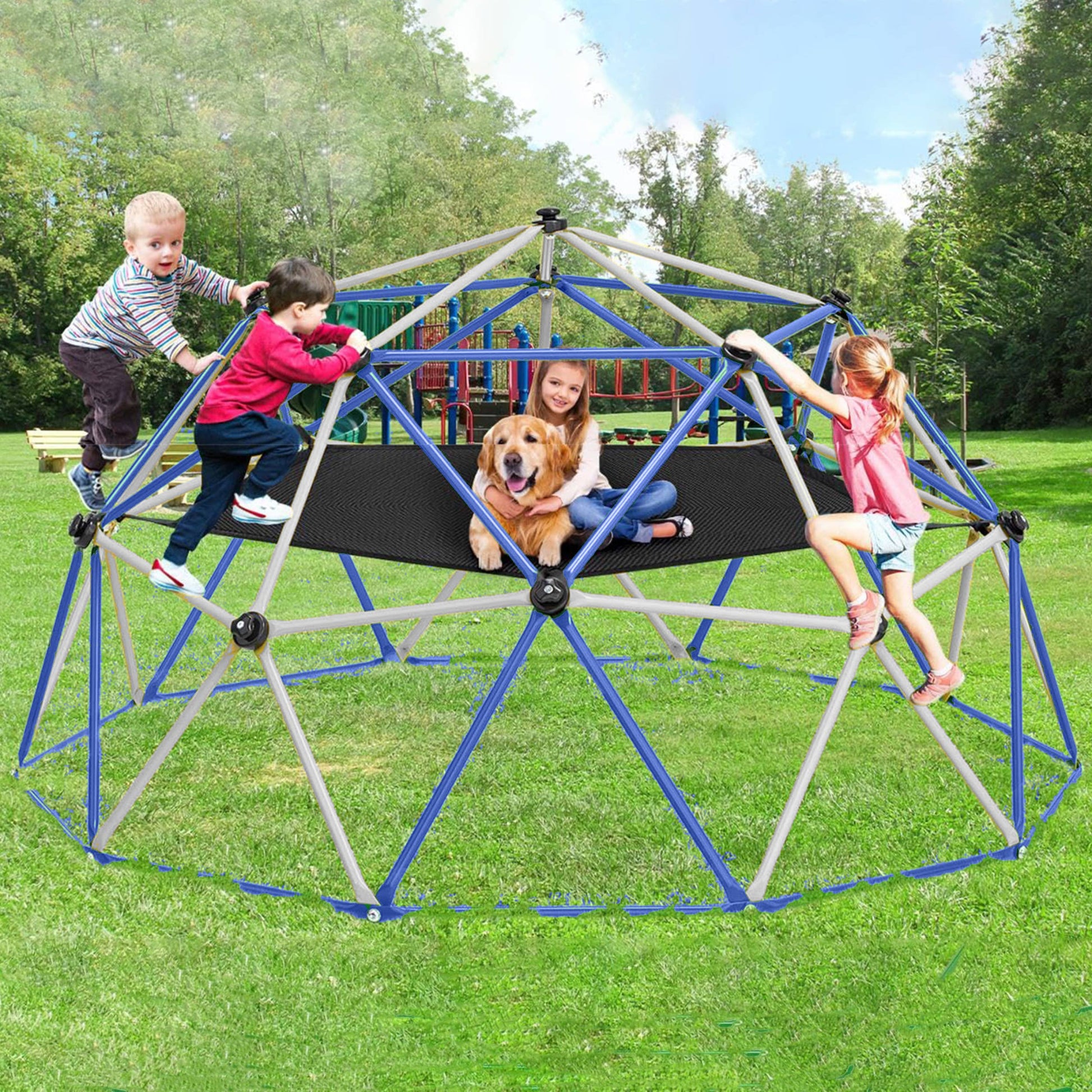 10Ft Climbing Dome For Kids Jungle Gym Apply To Park Dome Climber With