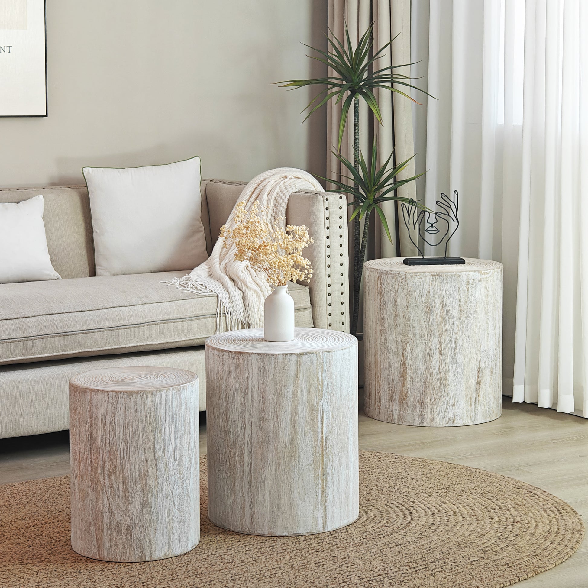 Set Of 3 Whitewash Wood Coffee Table With Clear And Visible Tree Rings White Distressed Finish Dining Room Fir Round Antique White,Natural Whitewash,White Washed,Wood Desk Top Modern,Rustic Floor Mount Round Open Storage Brushed Coffee & End Tables Wood