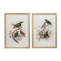 S 2 Bird Framed Print, 19.5X27.5