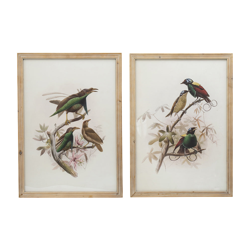 S 2 Bird Framed Print, 19.5X27.5" Multicolor Wood