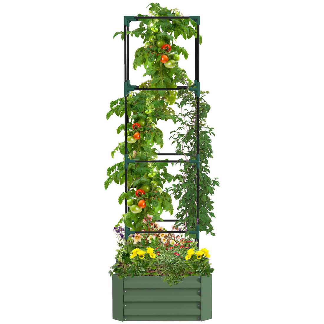 Outsunny Galvanized Raised Garden Bed, 24" X 24" X 11.75" Outdoor Planter Box With Trellis Tomato Cage And Open Bottom For Climbing Vines, Vegetables, Flowers In Backyard, Garden, Patio, Green Green Steel