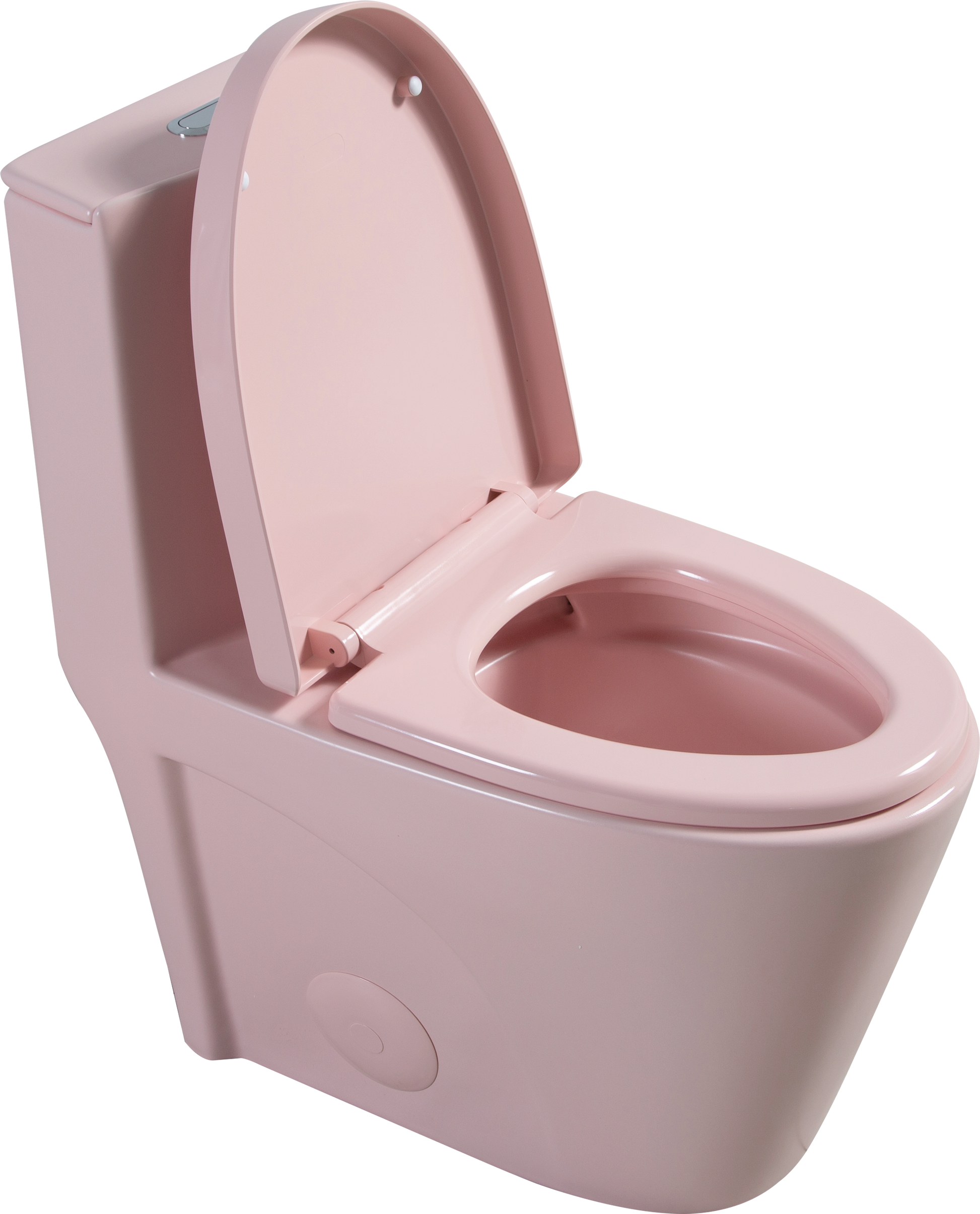 1.1 1.60 Gpf Dual Flush One Piece Toilet, Water Saving Elongated Comfort Height Floor Mounted, Soft Close 1000 Gram Map Flushing Score Toilet, Rose 23T01 Rs Rose Ceramic