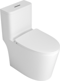 One Piece Toilet With High Quality Accessories White Ceramic