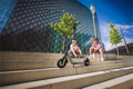 Lightweight & Foldable Electric Scooter W 10.8 Miles Max Speed Range & 15Mph Max Speed Gray Black Grey Aluminum