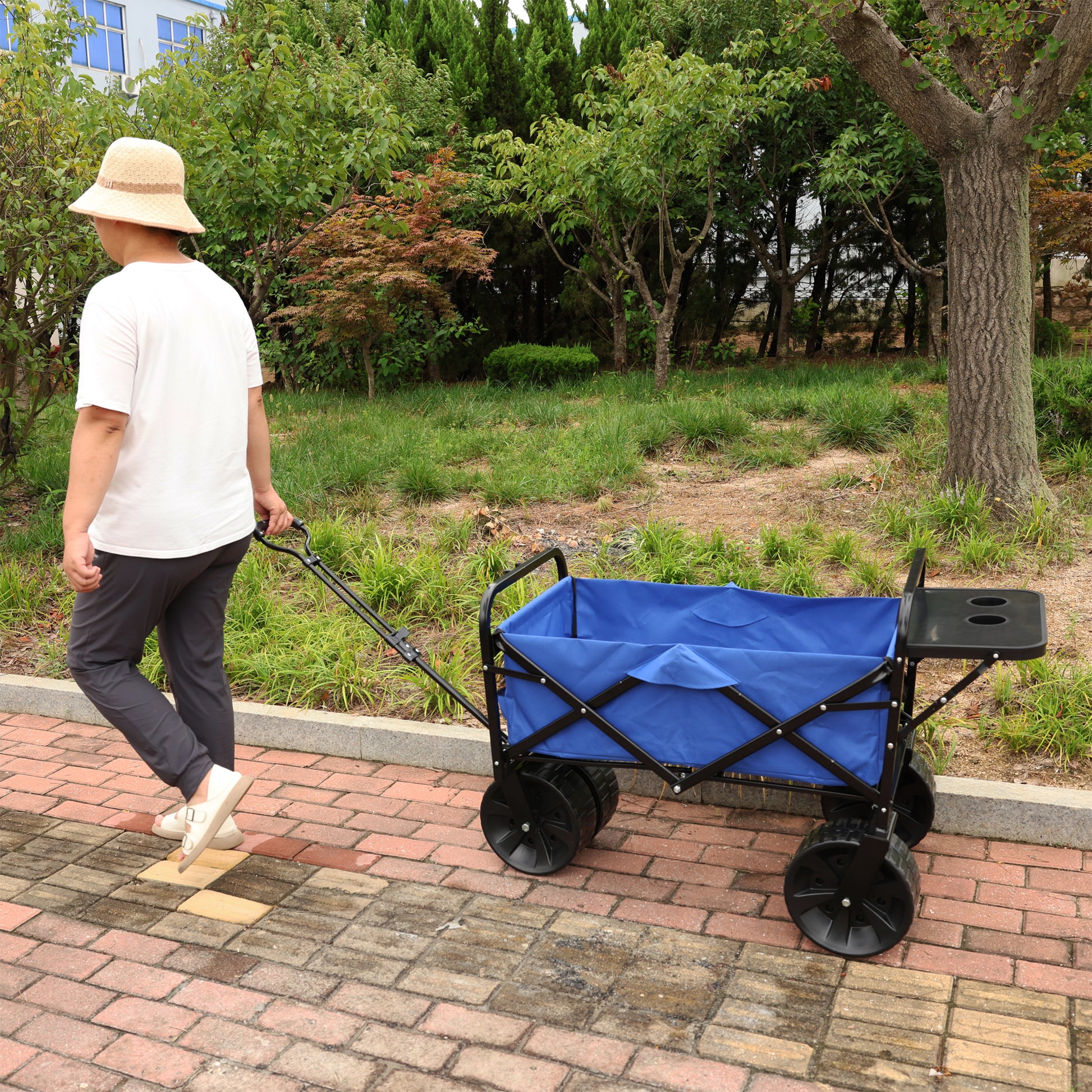 Folding Wagon Garden Shopping Beach Cart Blue Blue Metal