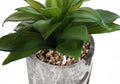 Artificial Plant, 6