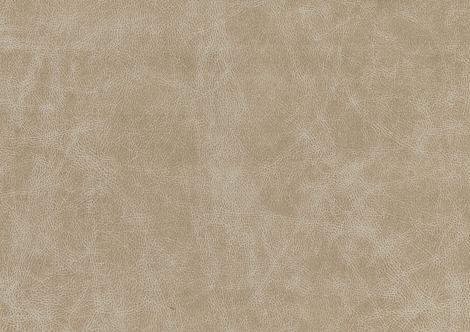 Sand Hued Polished Microfiber Upholstery Elegant Modern Style Chair 1Pc Solid Wood Living Room Furniture Silver Finish Metal Legs Sand Primary Living Space Modern Solid Wood