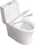 1.1 1.60 Gpf Dual Flush One Piece Toilet, Water Saving Elongated Comfort Height Floor Mounted, Soft Closing Seat, 1000 Gram Map Flushing Score Toilet, Glossy White 23T02 Gw White Ceramic