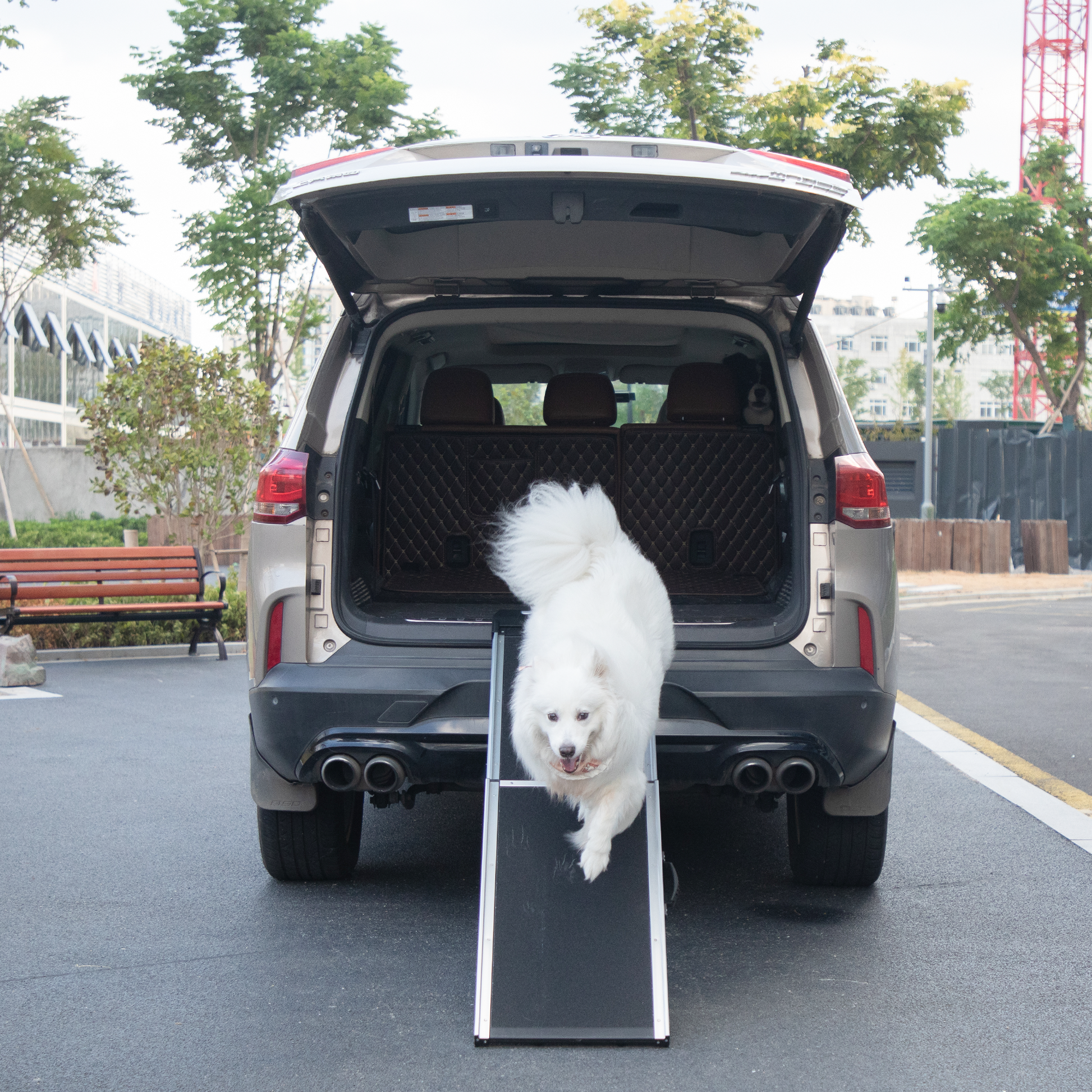 Foldable Aluminum Dog Car Step Ramp, Dog Ramp Climbing Ladder With Pvc
