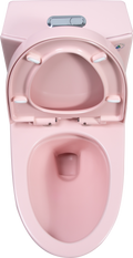 1.1 1.60 Gpf Dual Flush One Piece Toilet, Water Saving Elongated Comfort Height Floor Mounted, Soft Close 1000 Gram Map Flushing Score Toilet, Rose 23T01 Rs Rose Ceramic