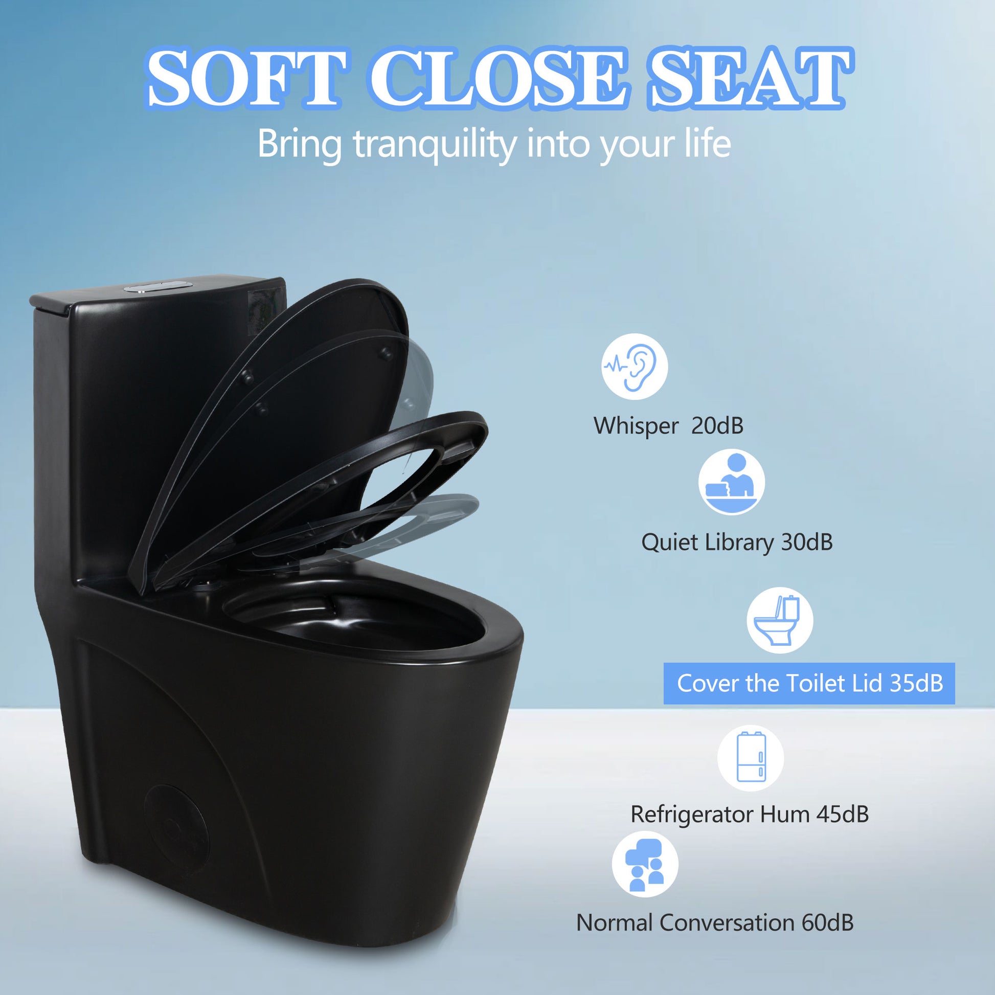 Dual Flush One Piece Toilet 1.1 1.60 Gpf, Water Saving Elongated Comfort Height Floor Mounted, Soft Close Seat, 1000 Gram Map Flushing Score Toilet, Matte Black 24T01 Mb Matte Black Ceramic