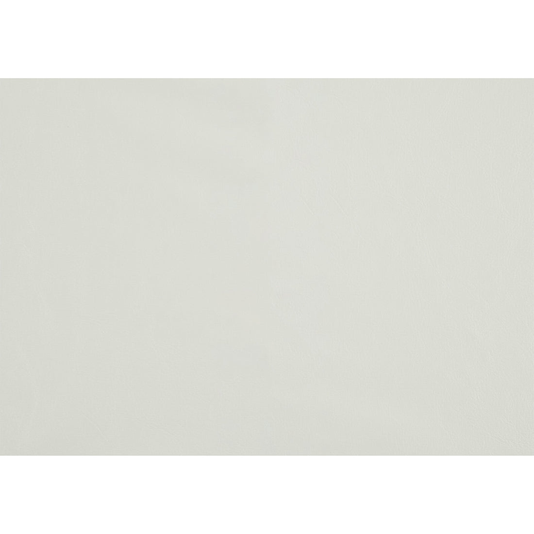 Leather Upholstered Side Chair With Long Back, White And Black, Set Of 2 White Black Leather