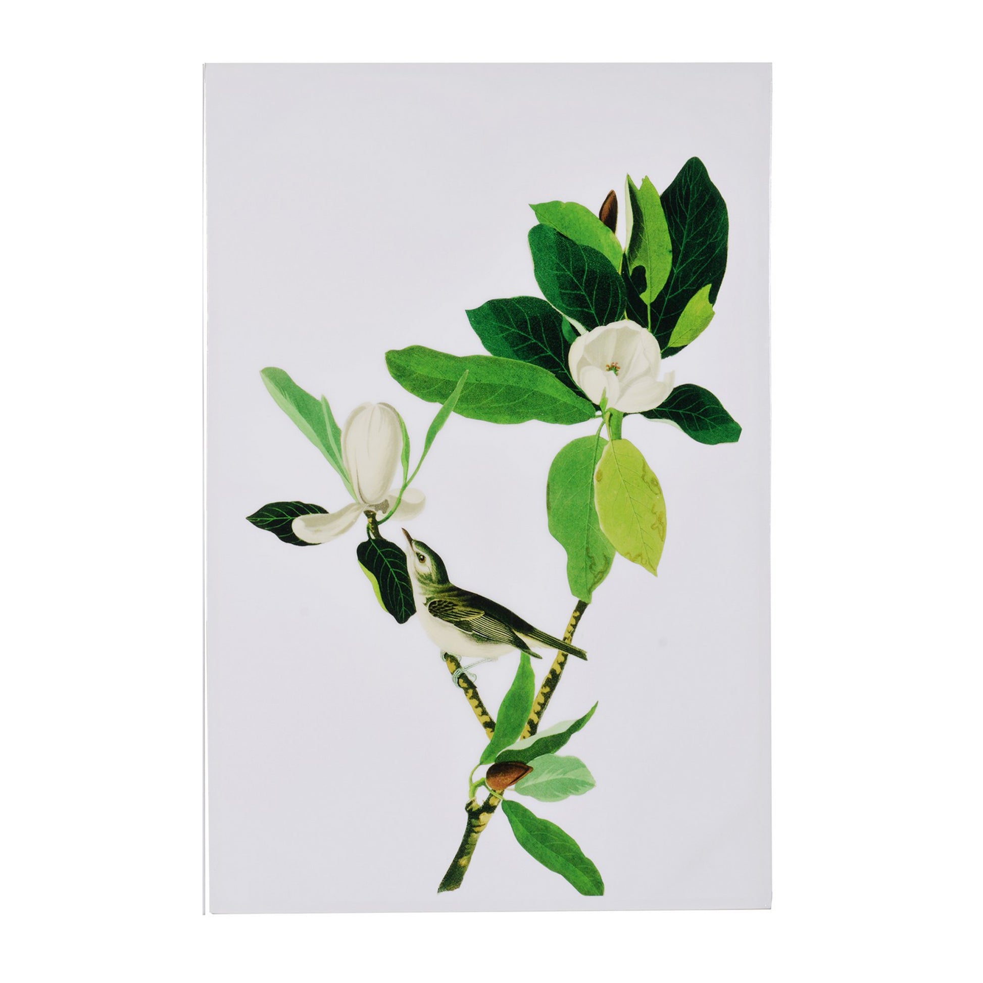 Magnolia Blooms Wall Art On Wooden Base, Multicolor, Set Of 2 White Green Wood