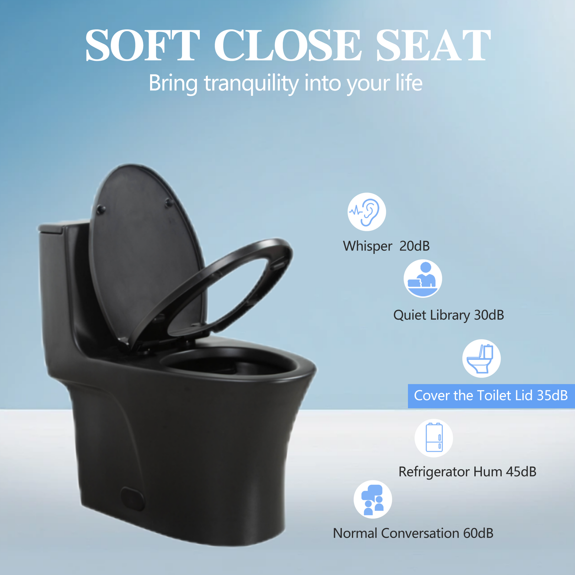 1.1 1.60 Gpf Dual Flush One Piece Toilet, Water Saving Elongated Comfort Height Floor Mounted, Soft Closing Seat, 1000 Gram Map Flushing Score Toilet, Matte Black 23T02 Mb Matte Black Ceramic