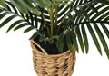 Artificial Plant, 24