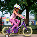 A14116 Ecarpat Kids'Bike Girls Bike 14 Inch Wheels,1 Speed Child Bicycles For 2 4 Years,With Removable Training Wheels Baby Toys,Front V Brake,Rear Holding Brake Purple Steel