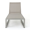 Modesta Chaise Lounge Set Of 2 Grey Mesh