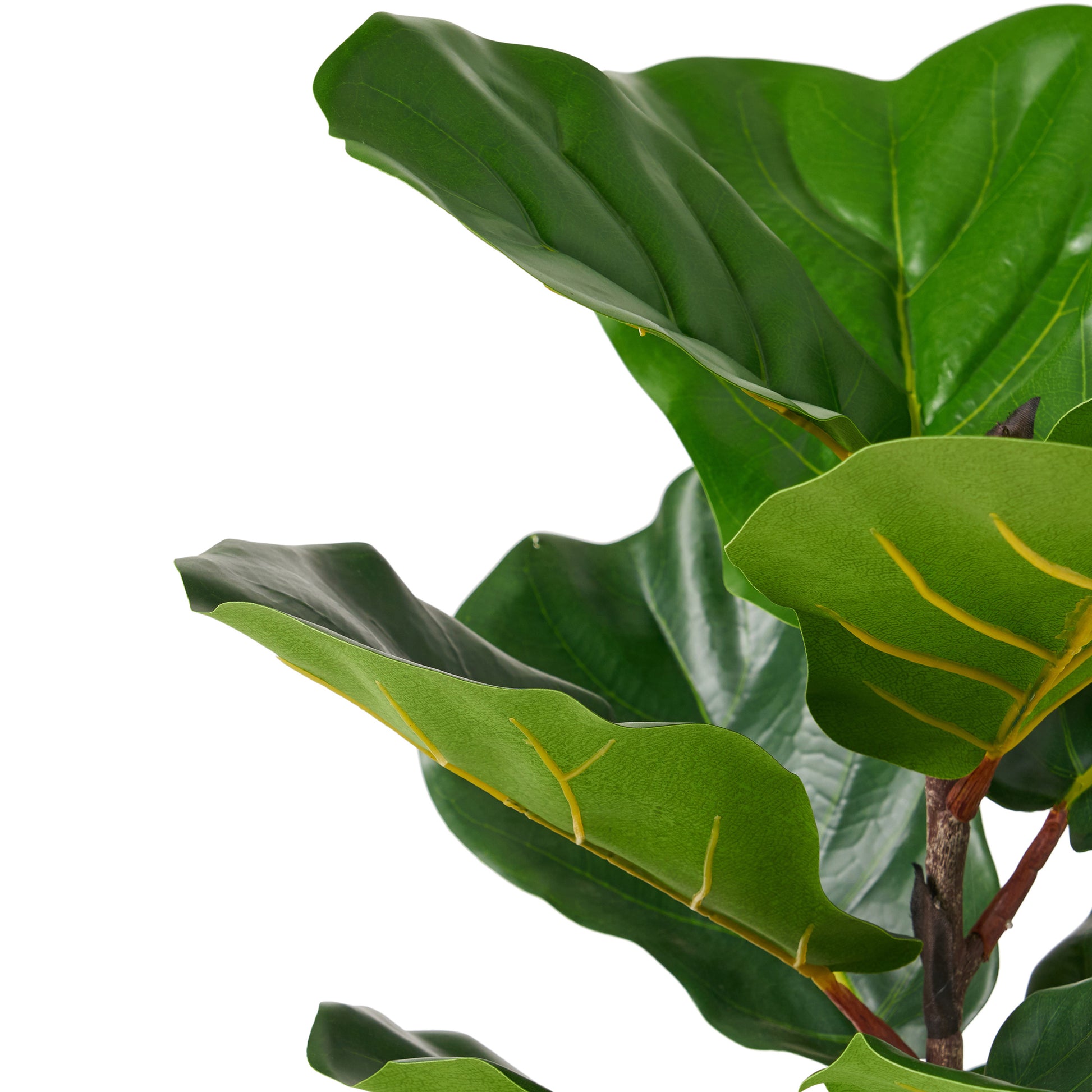 plastic fiddle leaf fig 65Cm Artificial Fiddle Leaf Fig Tree Green Iron Plastic