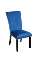 Camila Velvet Dining Chair Set Of 2 Blue Blue Fabric