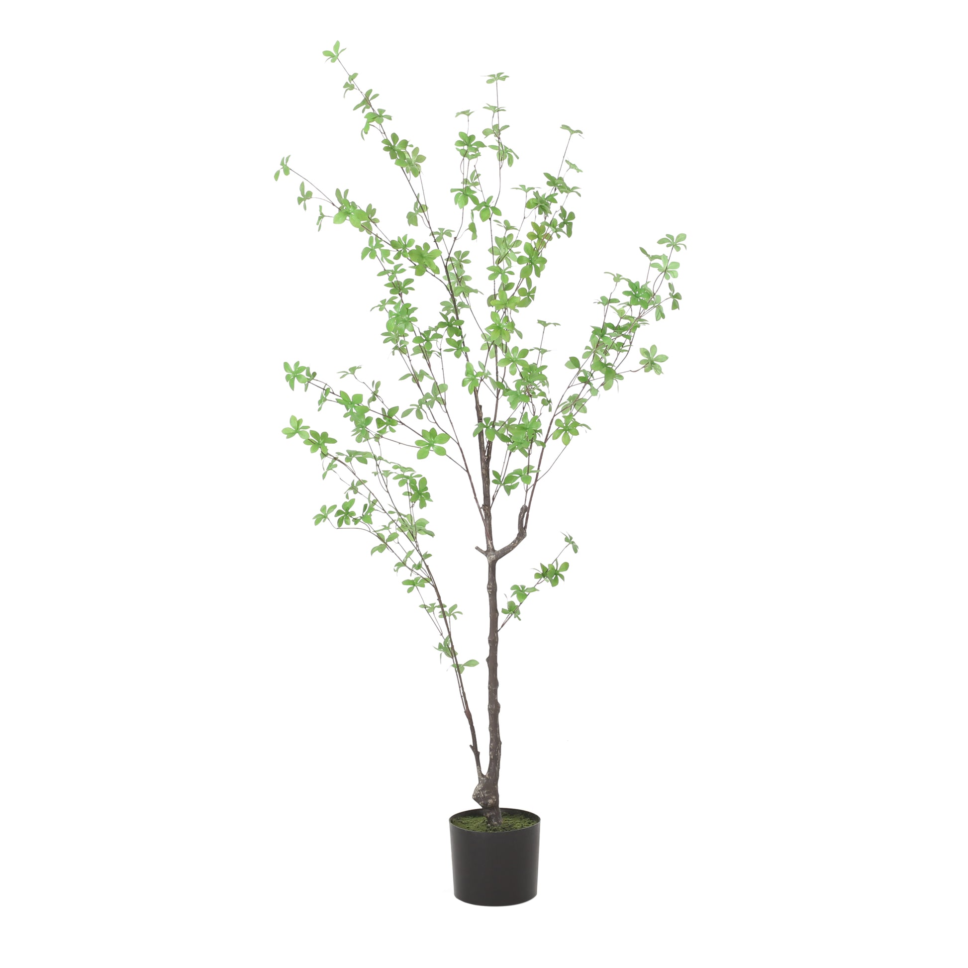 150Cm Artificial Disc Leaf Tree Green Polyethylene