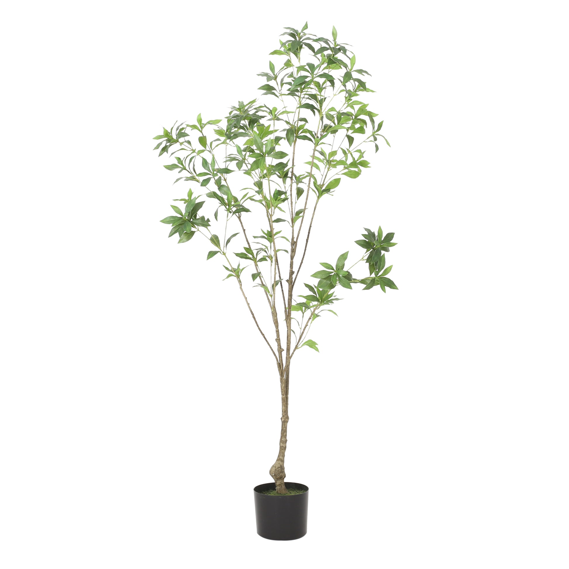 150Cmartificial Pieris Tree Green Rattan