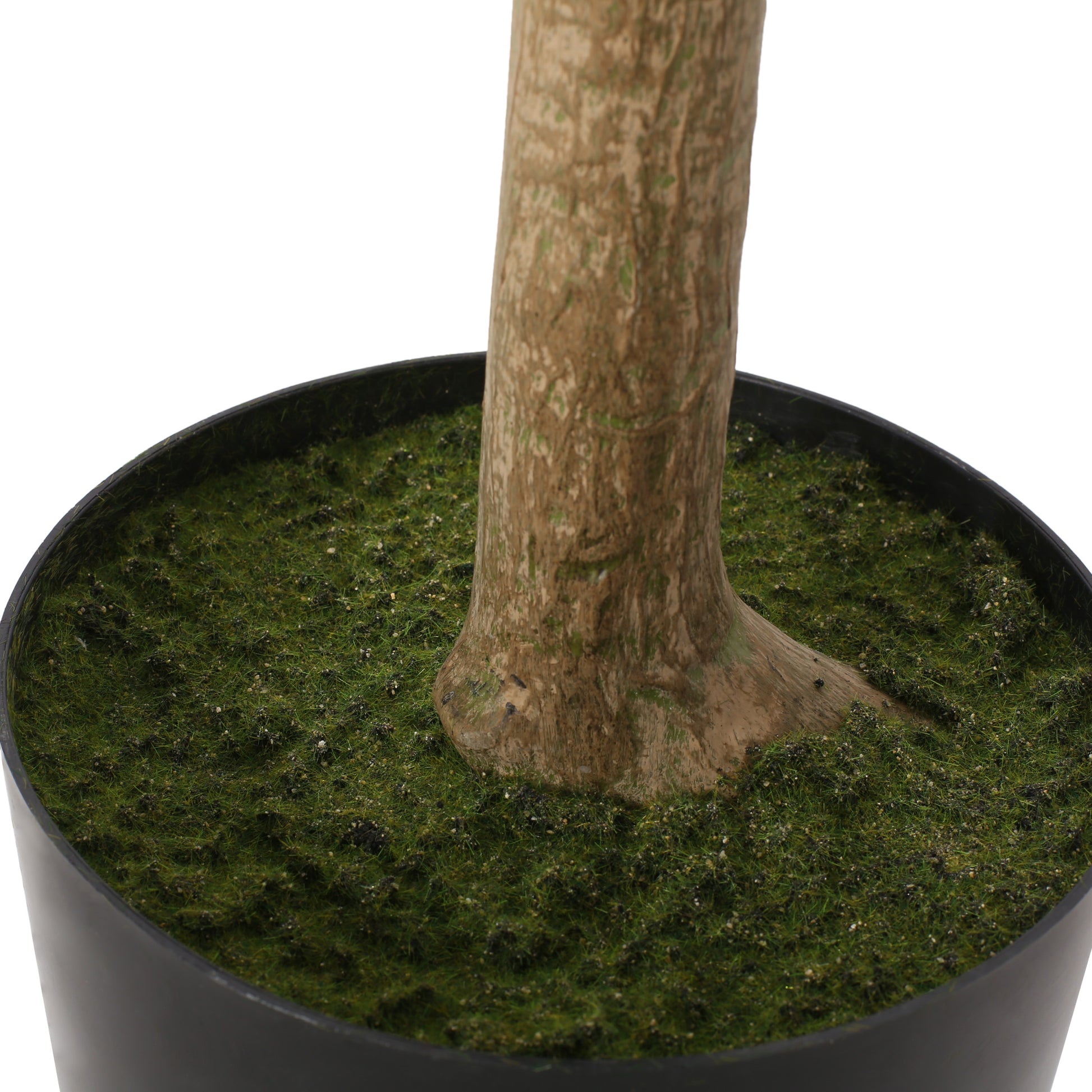 180Cm Artificial Pachira Macrocarpa Green Polyethylene