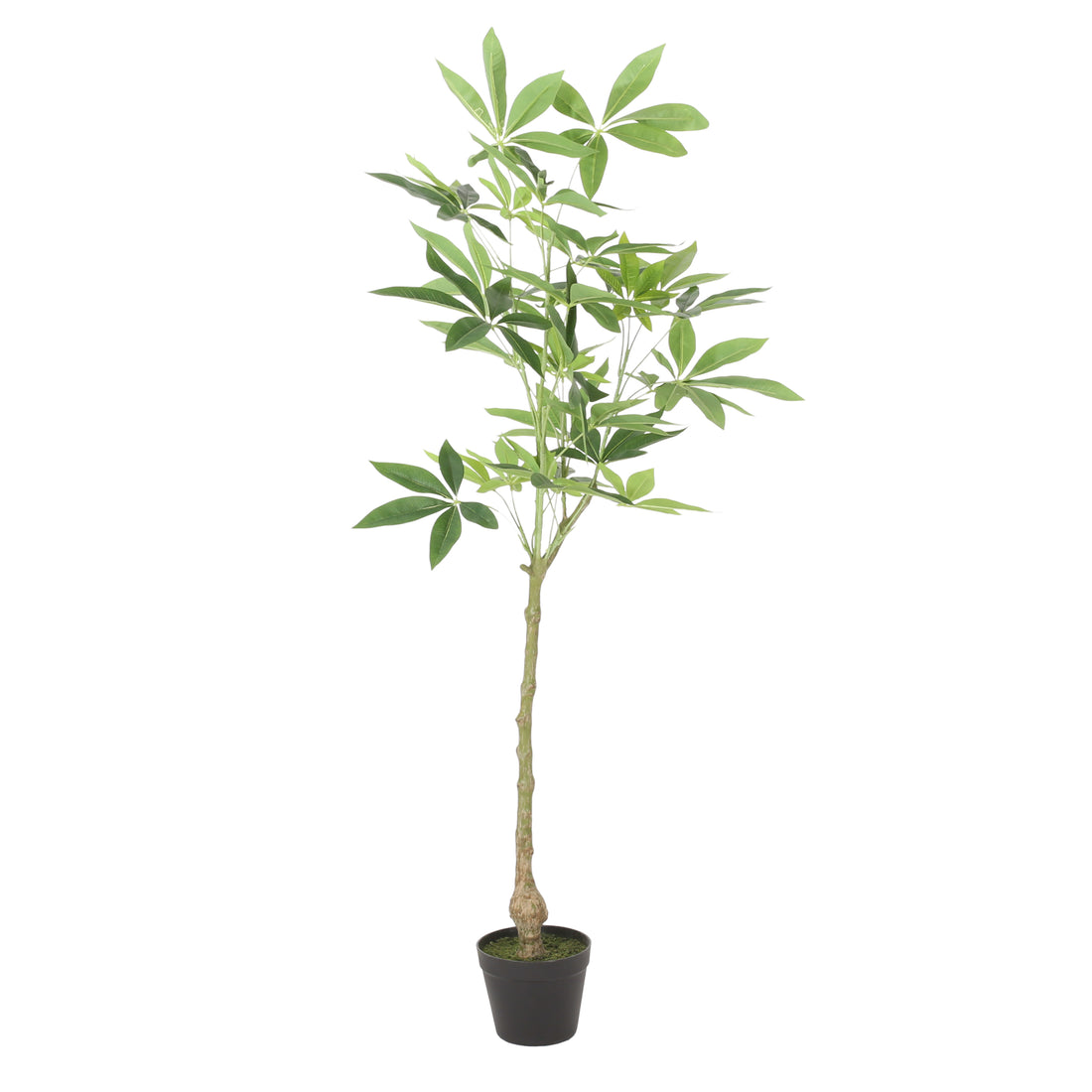 120Cm Artificial Pachira Macrocarpa Green Polyethylene