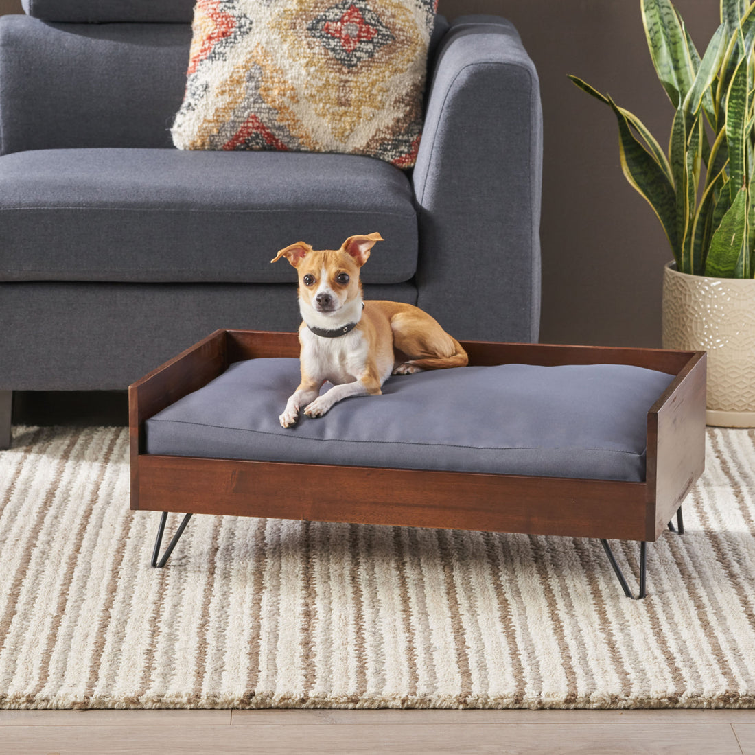 Dog Bed Reclaimed Oak Iron Acacia Wood